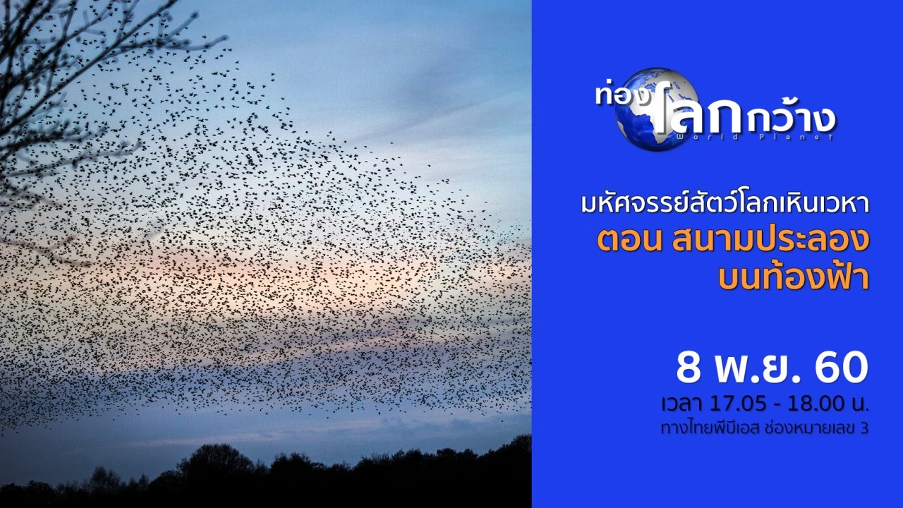 มหัศจรรย์สัตว์โลกเหินเวหา ตอน สนามประลองบนท้องฟ้า