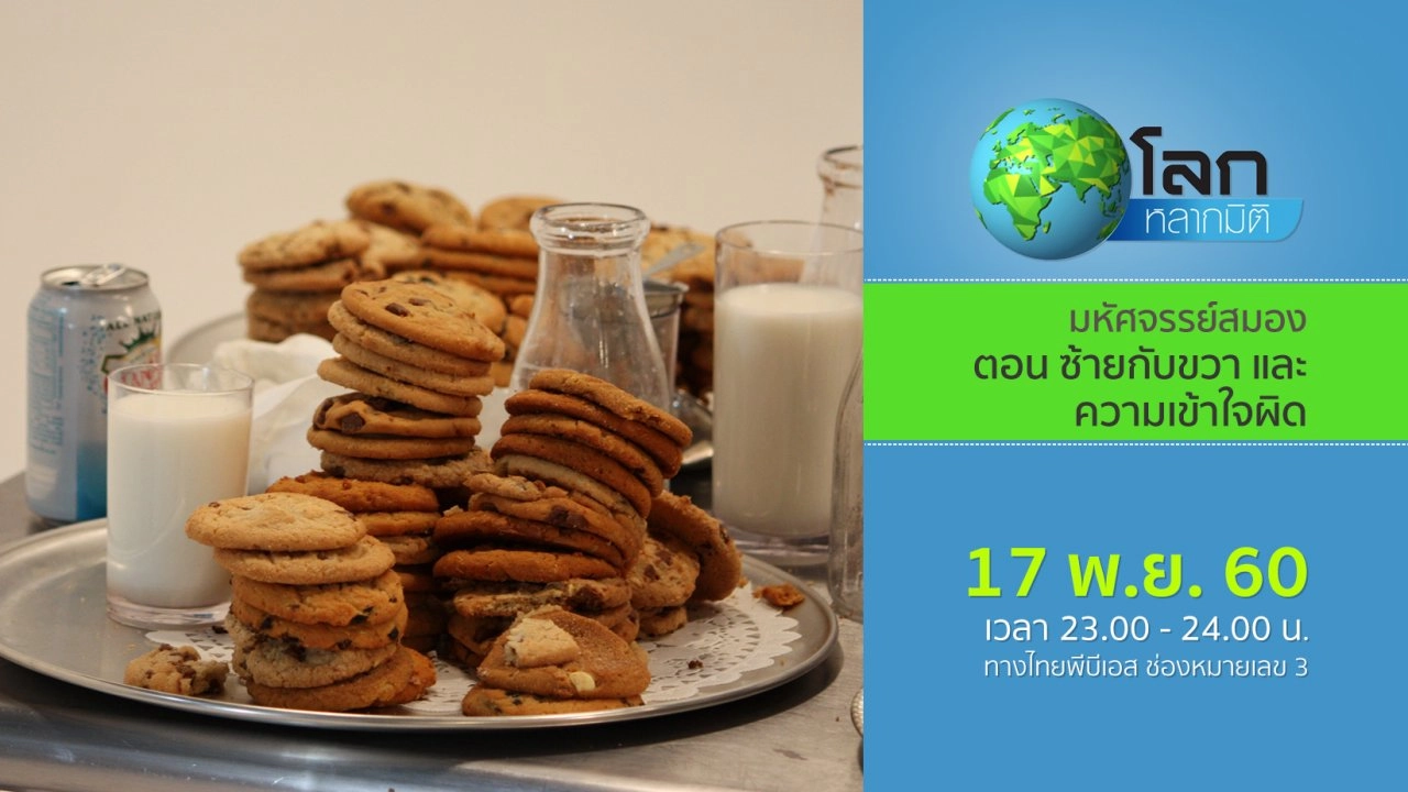 มหัศจรรย์สมอง ตอน ซ้ายกับขวา และความเข้าใจผิด