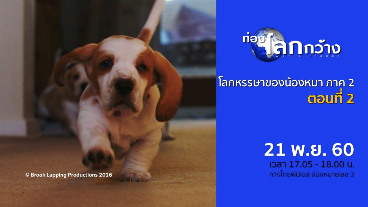 โลกหรรษาของน้องหมา ภาค 2  ตอนที่ 2