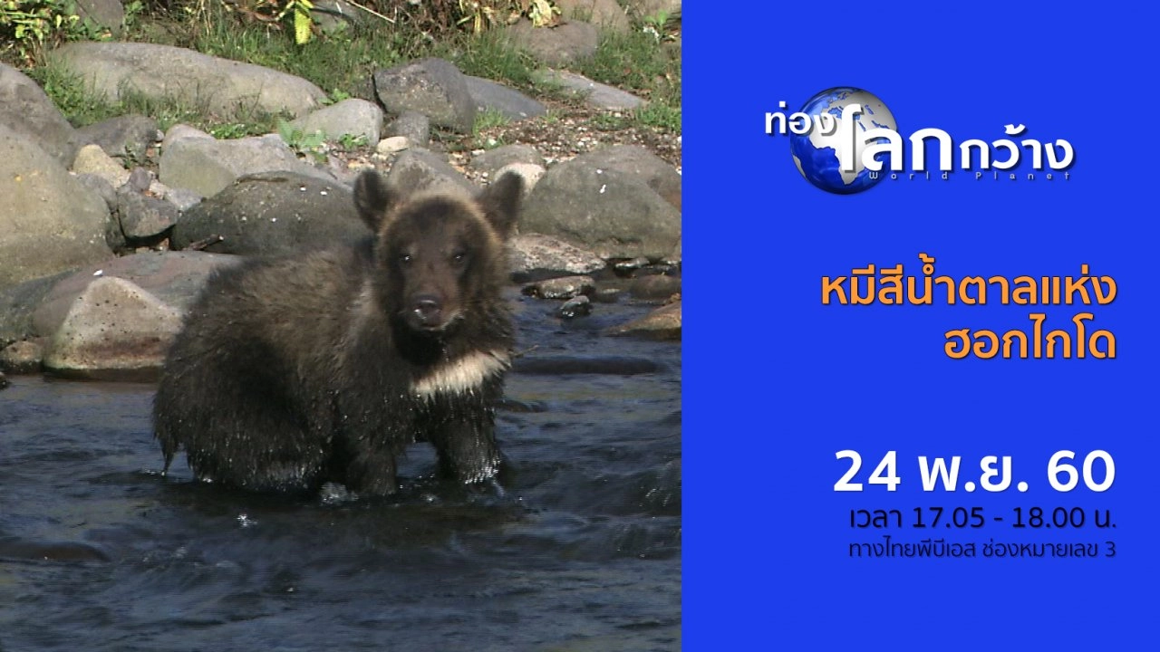 หมีสีน้ำตาลแห่งฮอกไกโด