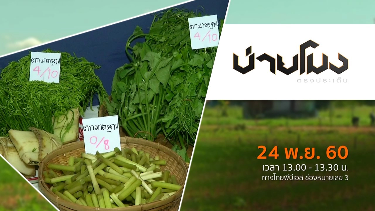 ประเด็นข่าว ( 24 พ.ย. 60)