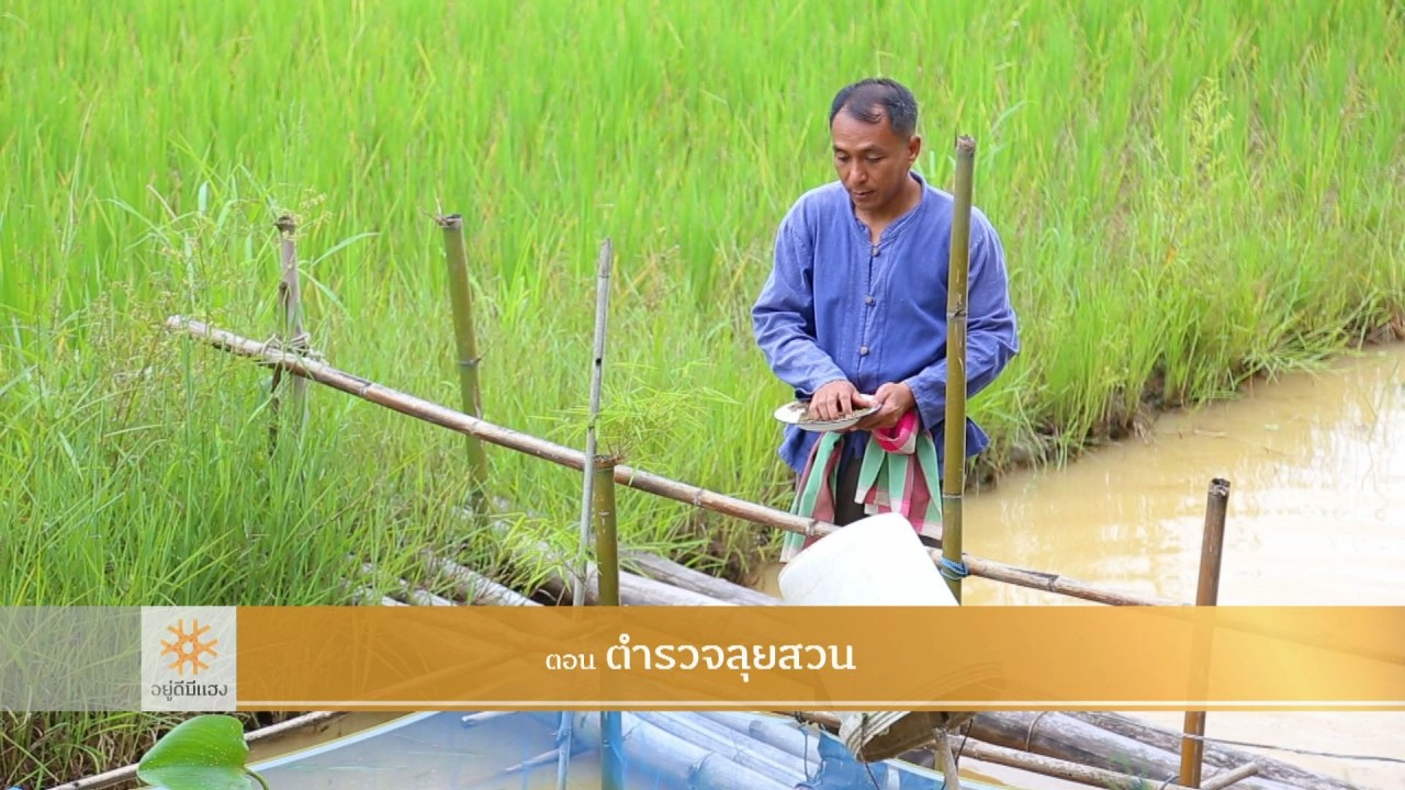 ตำรวจลุยสวน