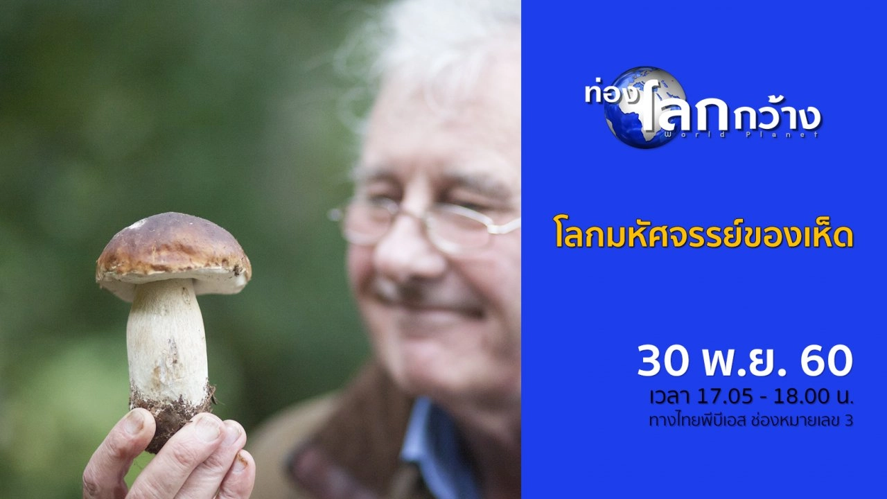 โลกมหัศจรรย์ของเห็ด