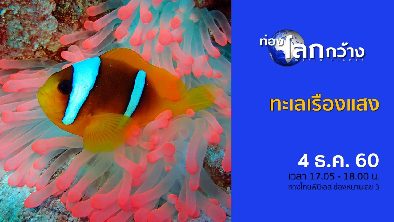 ทะเลเรืองแสง