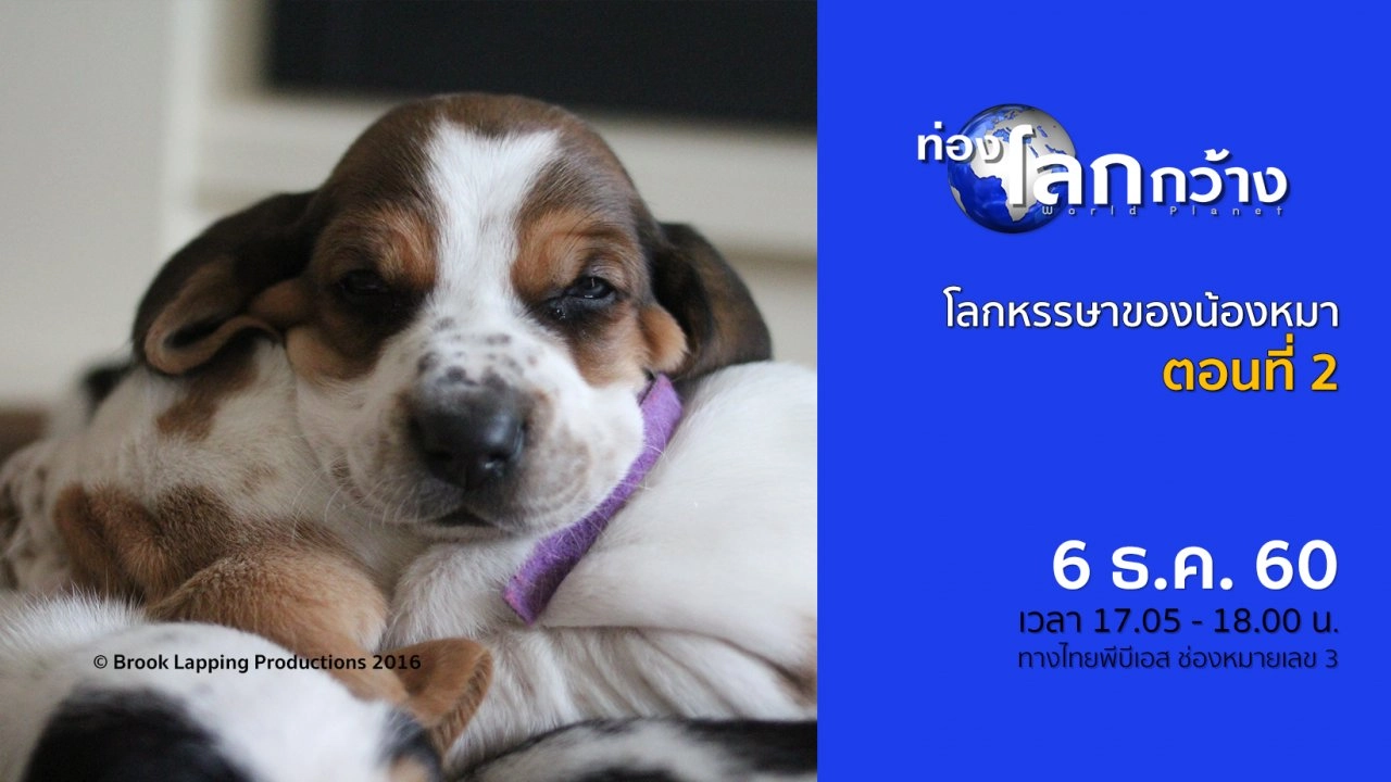โลกหรรษาของน้องหมา ตอนที่ 2