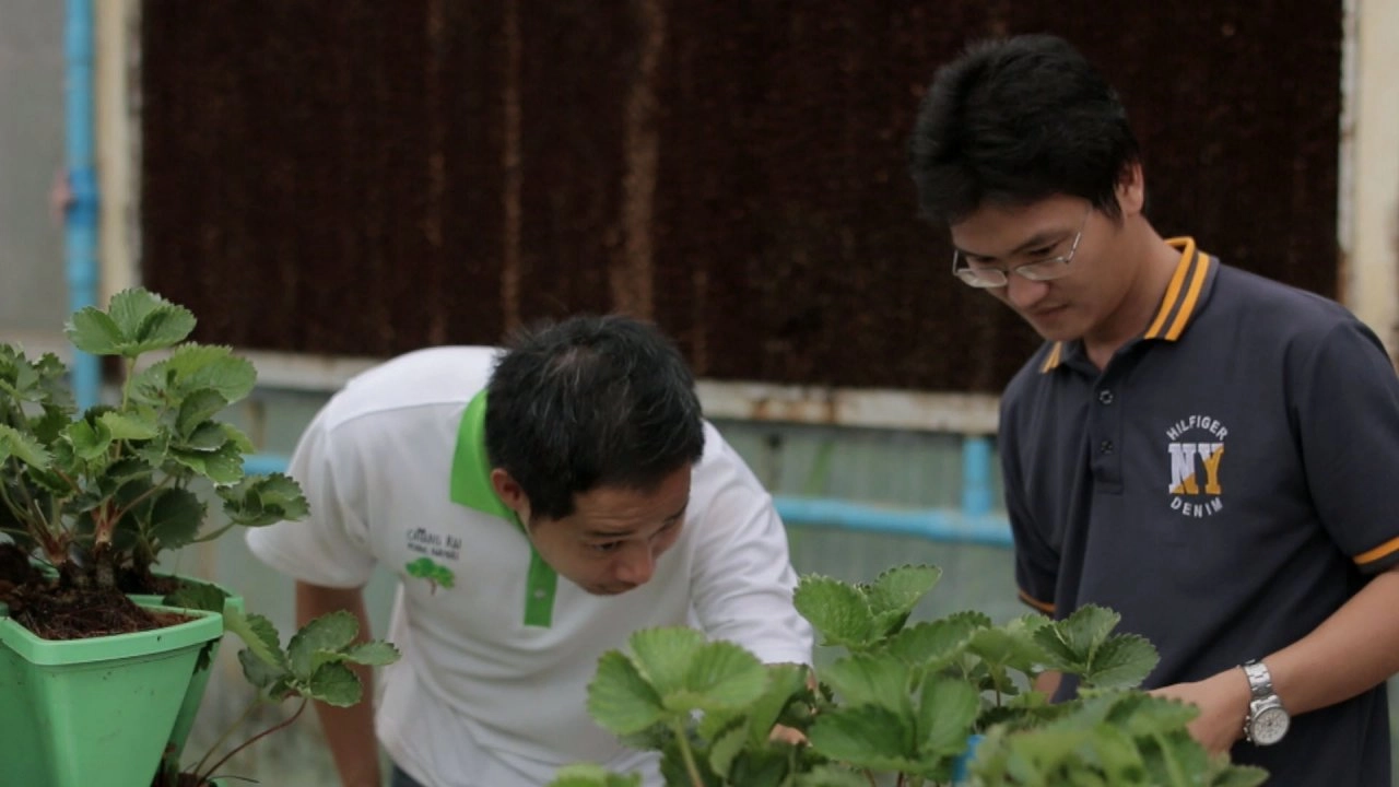 เกษตรอัจฉริยะ