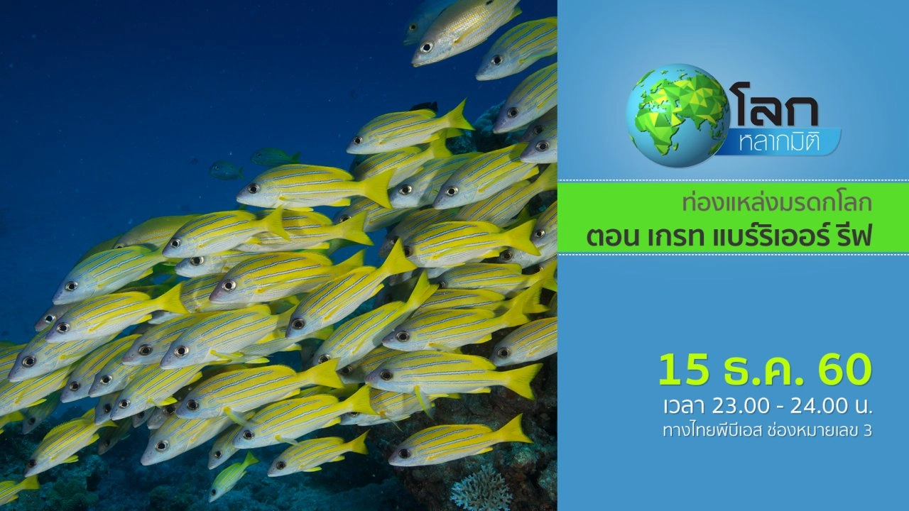 ท่องแหล่งมรดกโลก ตอน เกรท แบร์ริเออร์ รีฟ