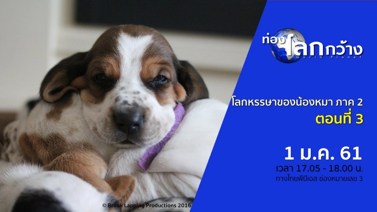 โลกหรรษาของน้องหมา ภาค 2 ตอนที่ 3