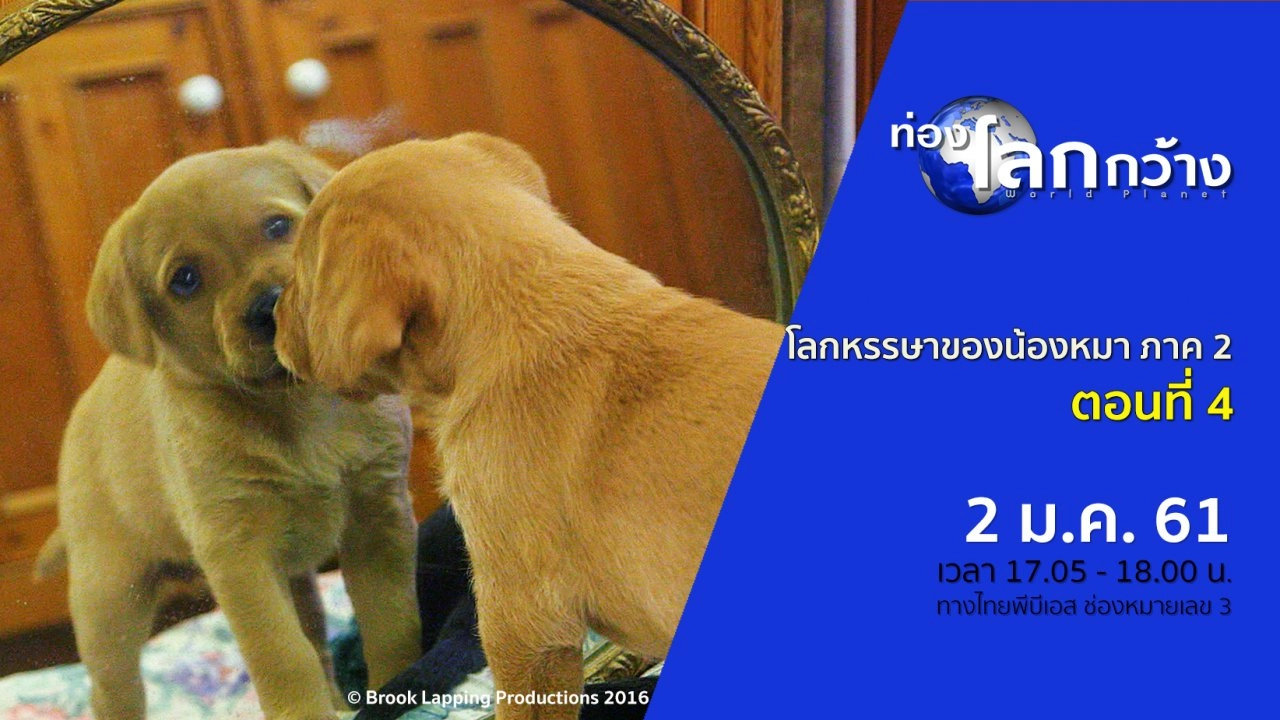 โลกหรรษาของน้องหมา ภาค 2 ตอนที่ 4