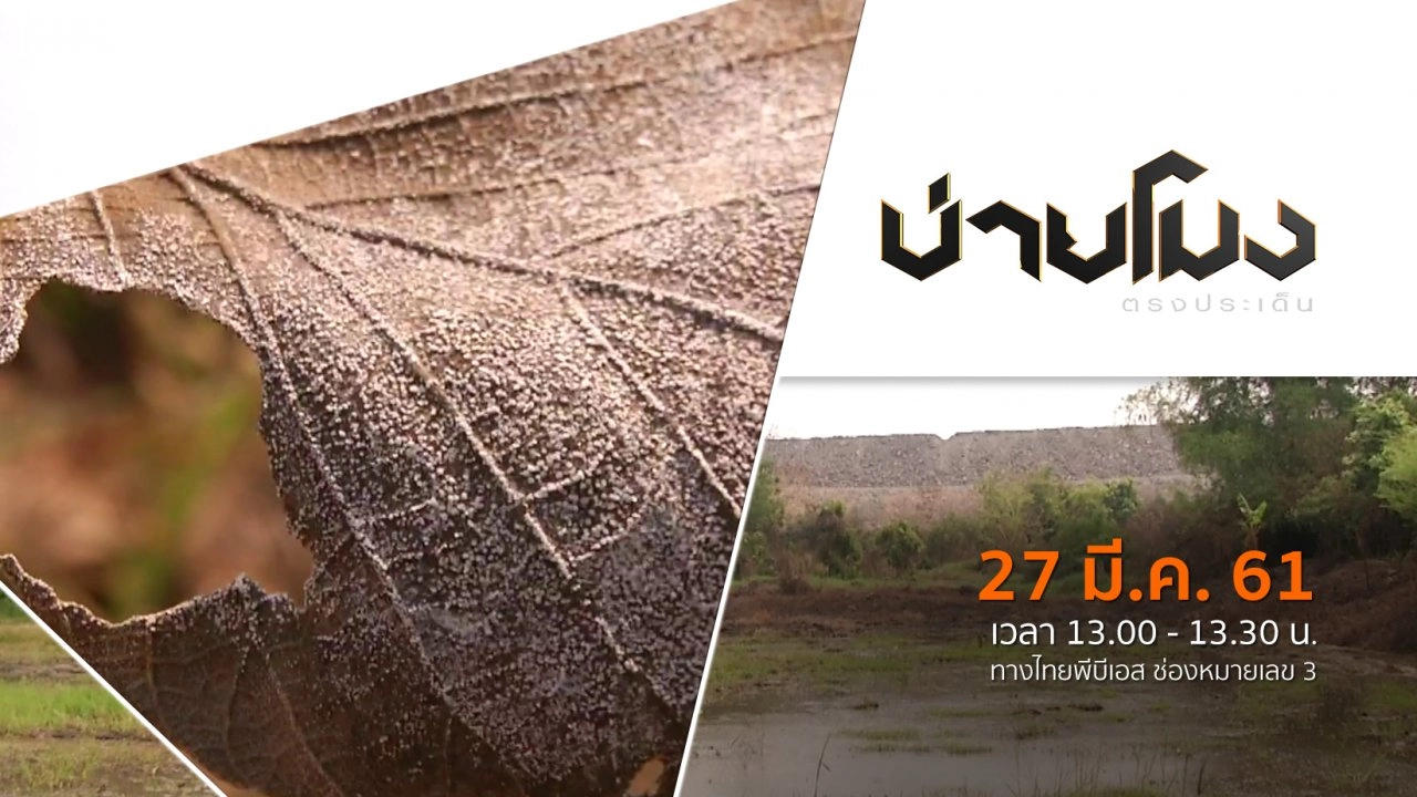 ประเด็นข่าว ( 27 มี.ค. 61)