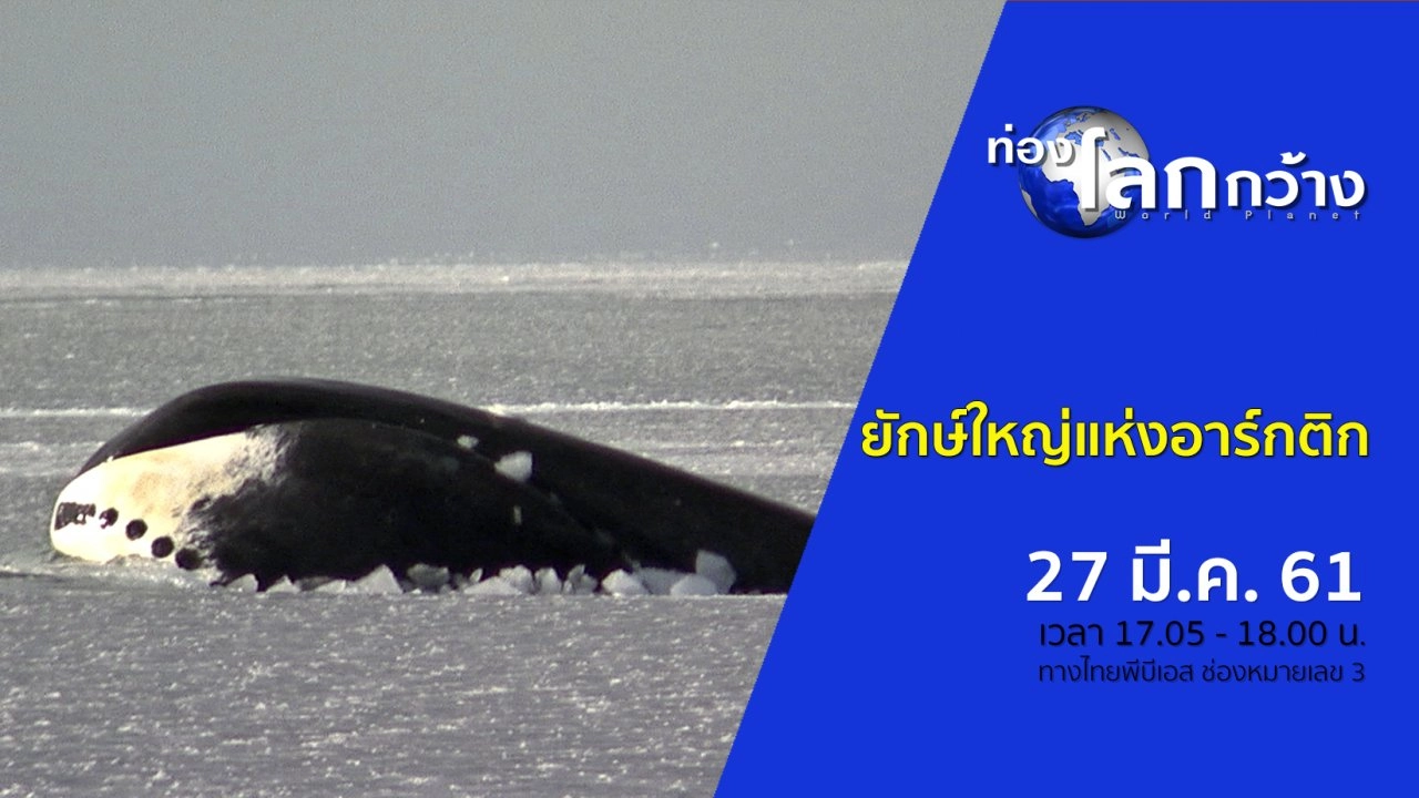 ยักษ์ใหญ่แห่งอาร์กติก