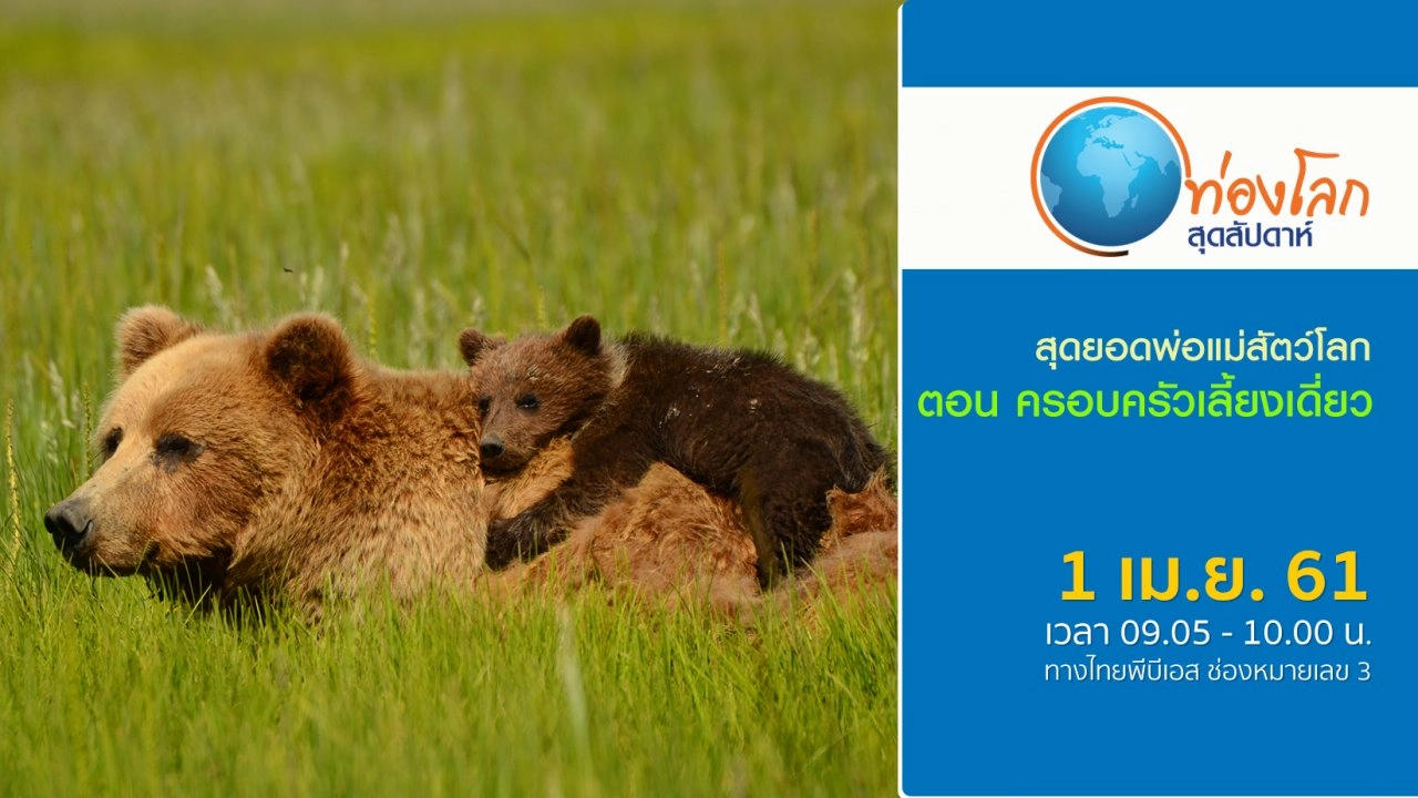 สุดยอดพ่อแม่สัตว์โลก ตอน ครอบครัวเลี้ยงเดี่ยว