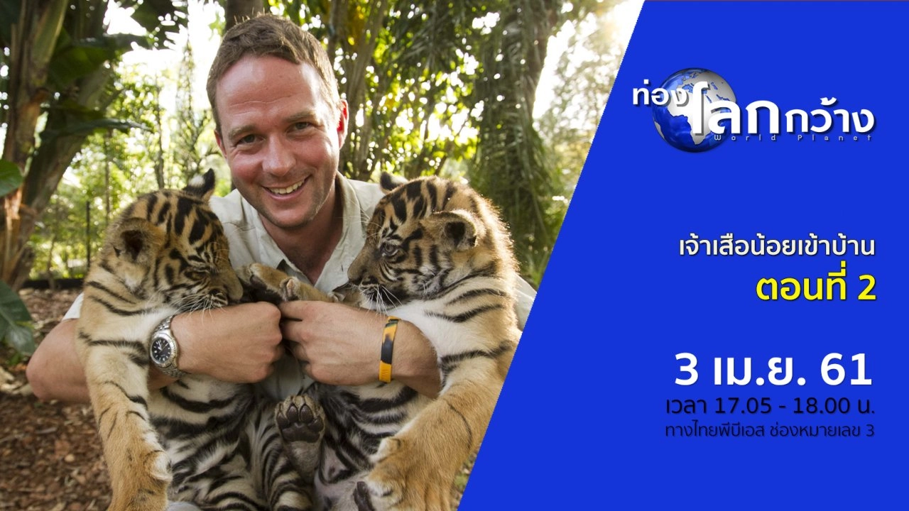 เจ้าเสือน้อยเข้าบ้าน ตอนที่ 2