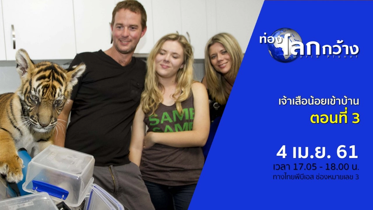 เจ้าเสือน้อยเข้าบ้าน ตอนที่ 3