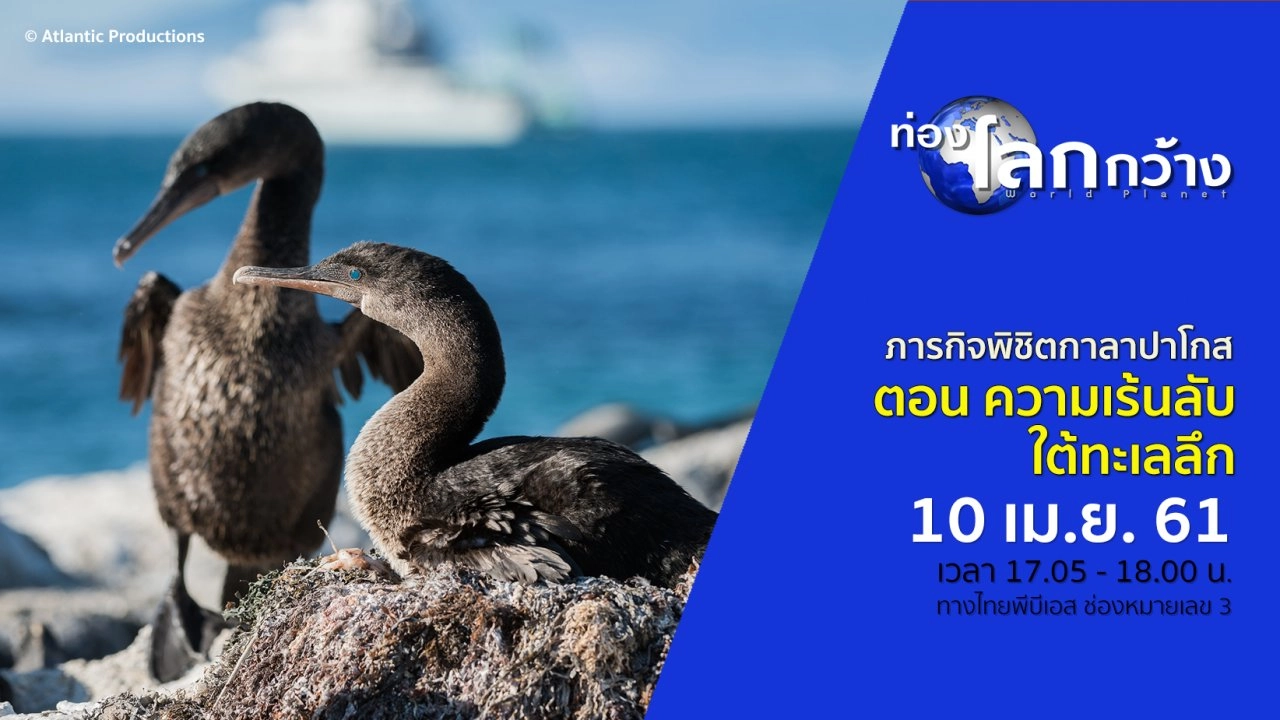 ภารกิจพิชิตกาลาปาโกส ตอน ความเร้นลับใต้ทะเลลึก