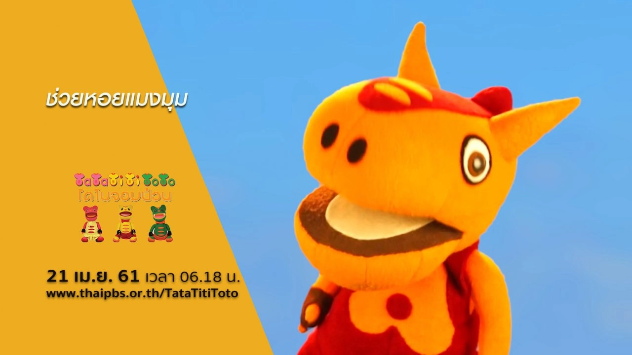 ช่วยหอยแมงมุม