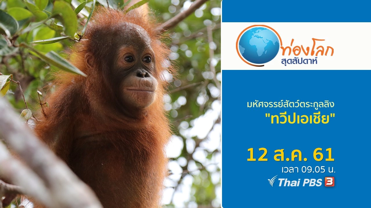 มหัศจรรย์สัตว์ตระกูลลิง ตอน ทวีปเอเชีย