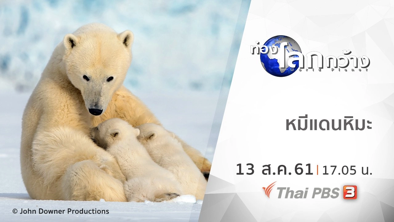 หมีแดนหิมะ