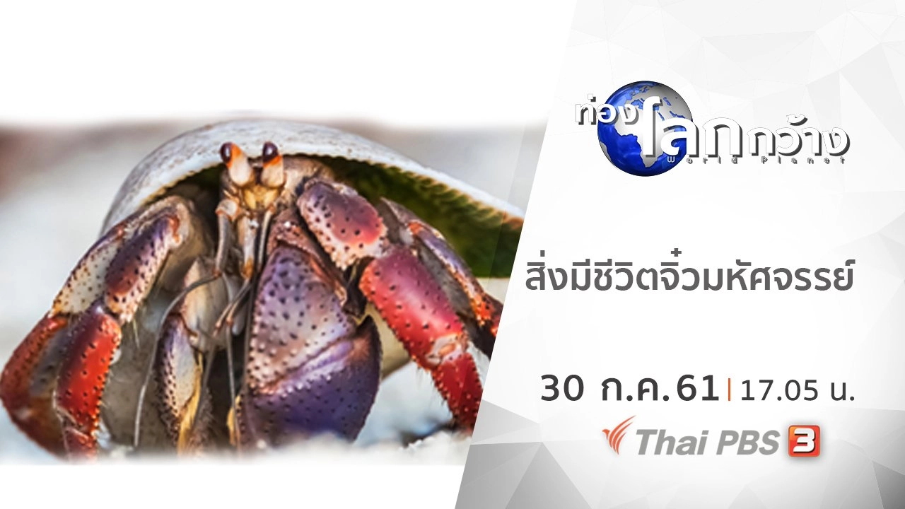 สิ่งมีชีวิตจิ๋วมหัศจรรย์
