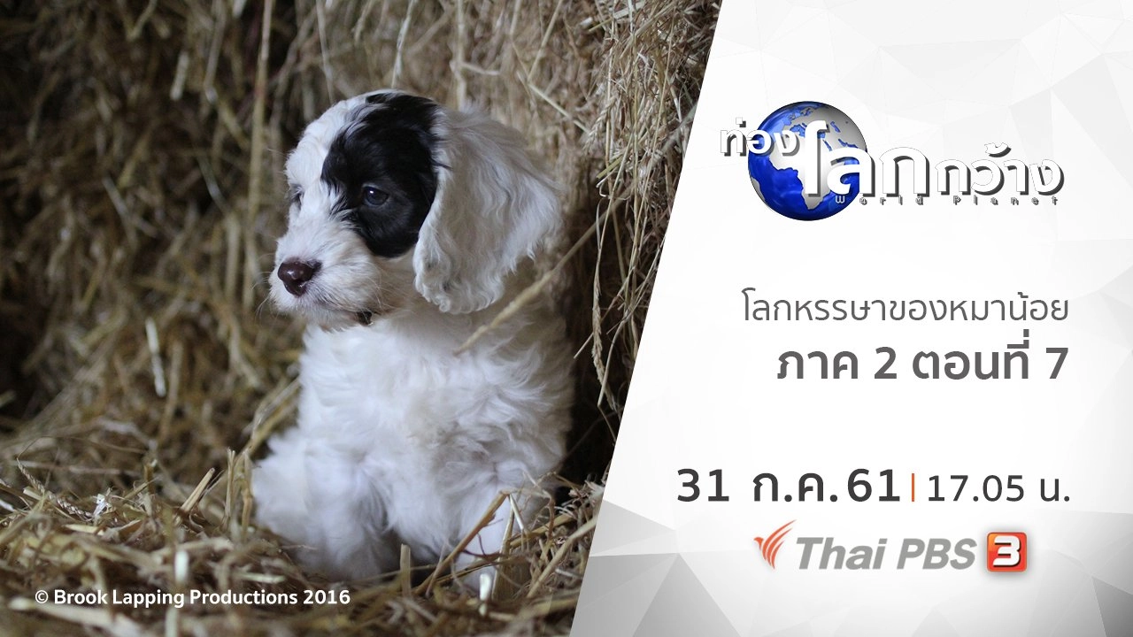 โลกหรรษาของหมาน้อย ภาค 2 ตอนที่ 7