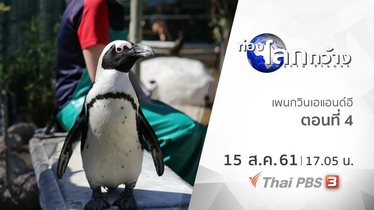 เพนกวินเอแอนด์อี ตอนที่ 4