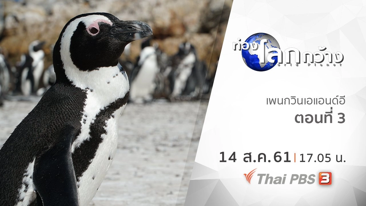 เพนกวินเอแอนด์อี ตอนที่ 3