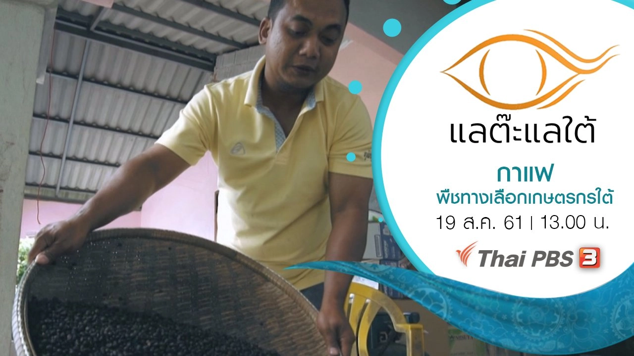 กาแฟ พืชทางเลือกเกษตรกรใต้