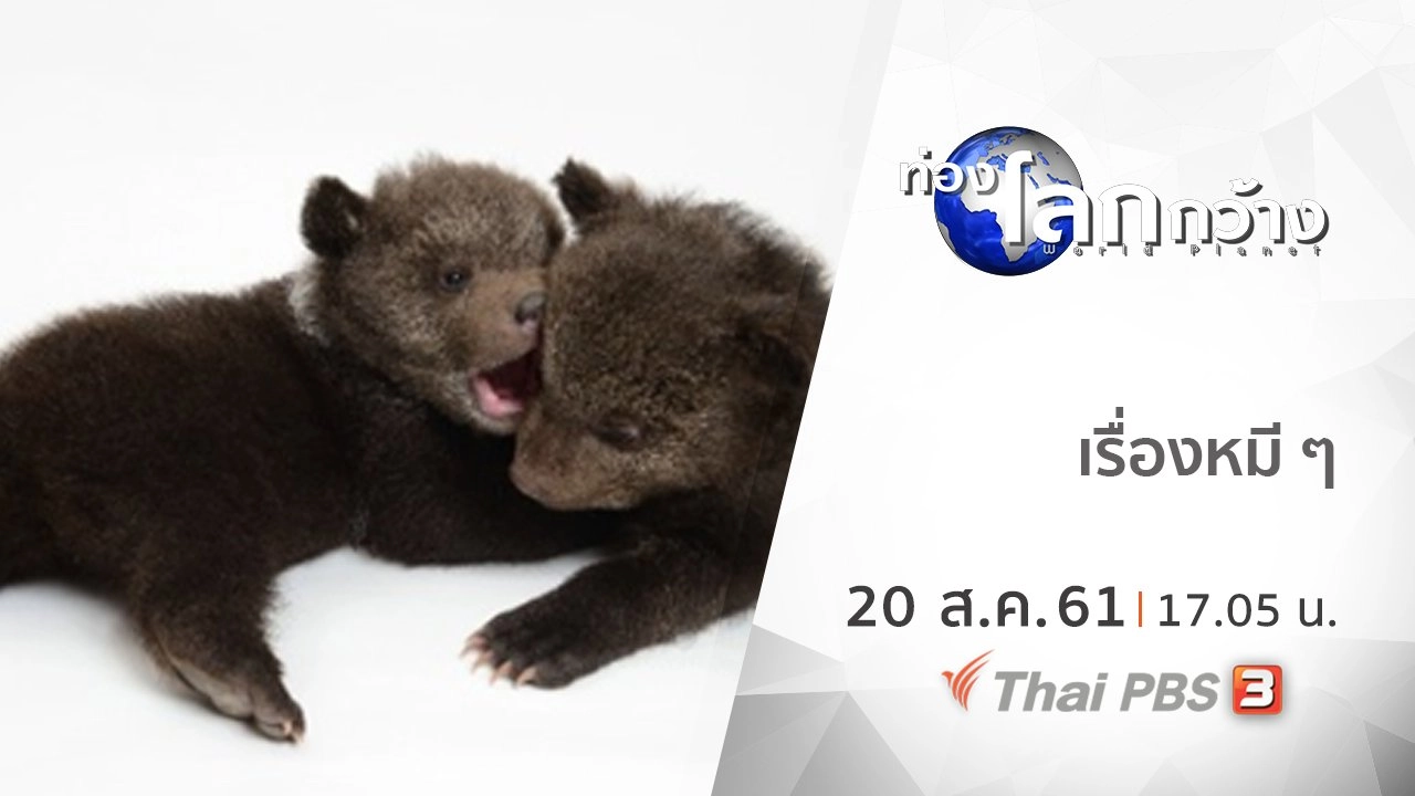 เรื่องหมี ๆ