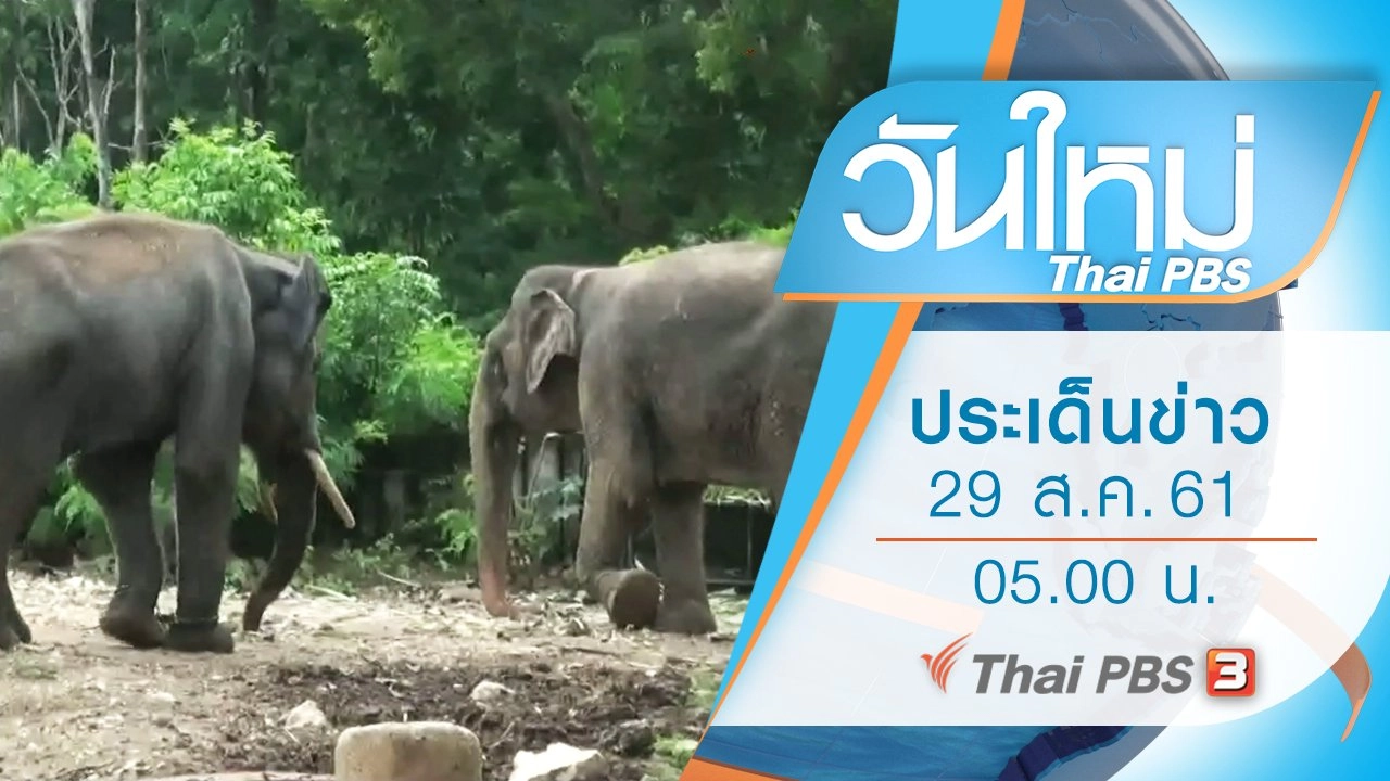 ประเด็นข่าว (29 ส.ค. 61)