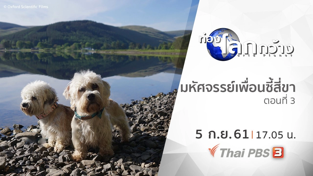 มหัศจรรย์เพื่อนซี้สี่ขา ตอนที่ 3