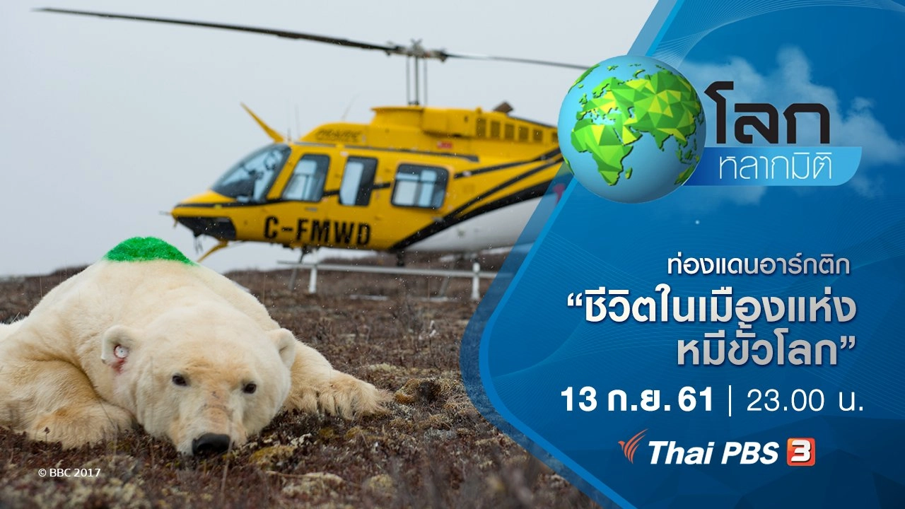 ท่องแดนอาร์กติก ตอน ชีวิตในเมืองแห่งหมีขั้วโลก