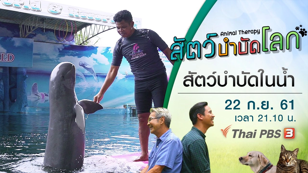 สัตว์บำบัดในน้ำ