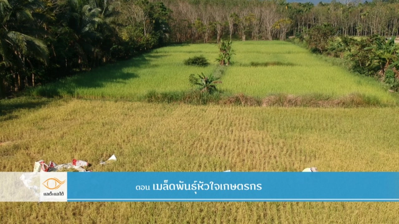 เมล็ดพันธุ์หัวใจเกษตร