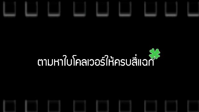 ตามหาใบโคลเวอร์ให้ครบสี่แฉก