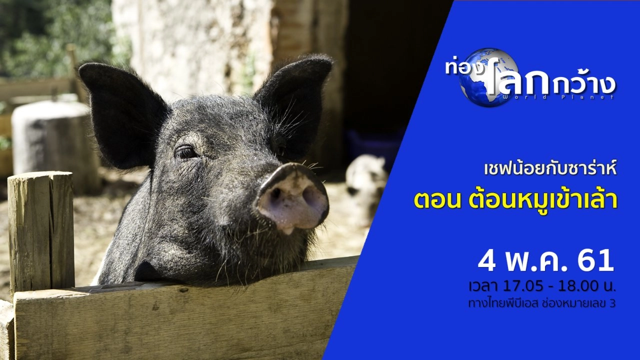 เชฟน้อยกับซาร่าห์ ตอน ต้อนหมูเข้าเล้า