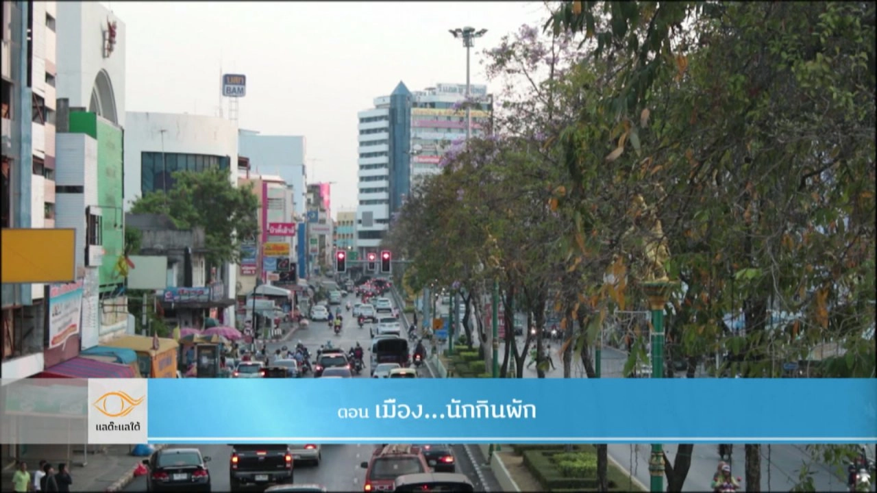 เมือง...นักกินผัก