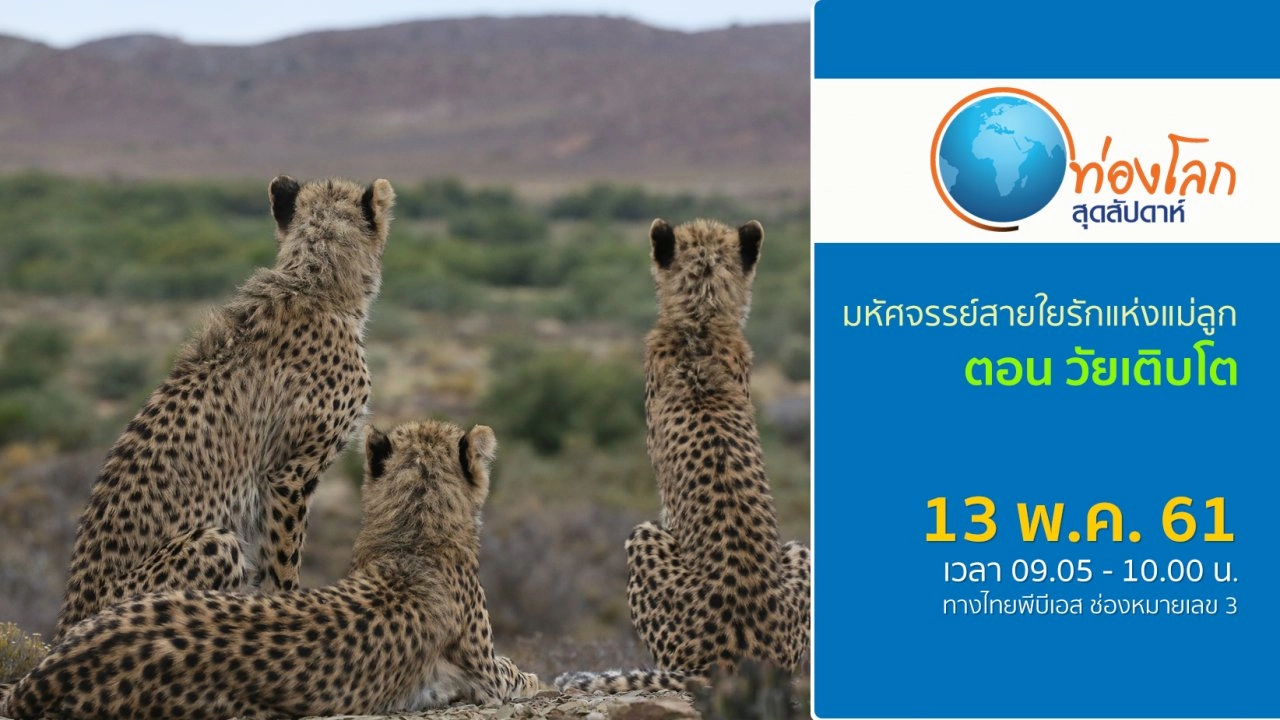 มหัศจรรย์สายใยรักแห่งแม่ลูก ตอน วัยเติบโต