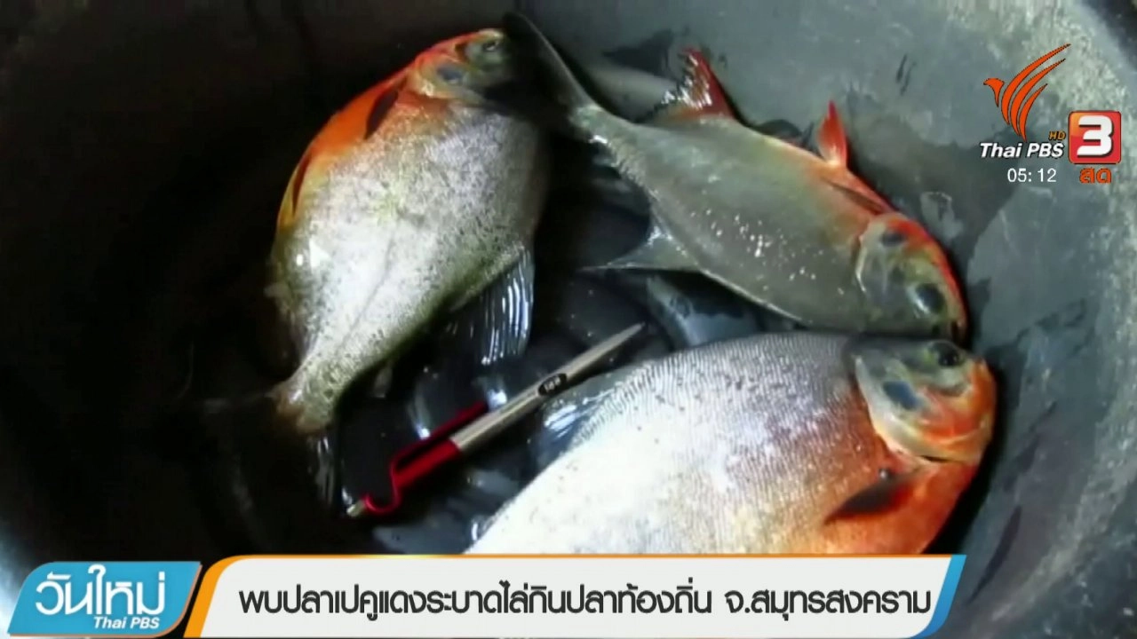 ประเด็นข่าว (15 พ.ค. 61)