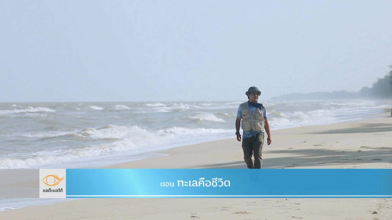 ทะเลคือชีวิต​