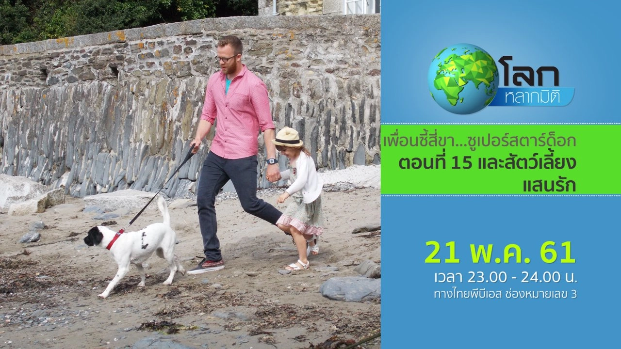 เพื่อนซี้สี่ขา...ซูเปอร์สตาร์ด็อก ตอนที่ 15 และ สัตว์เลี้ยงแสนรัก