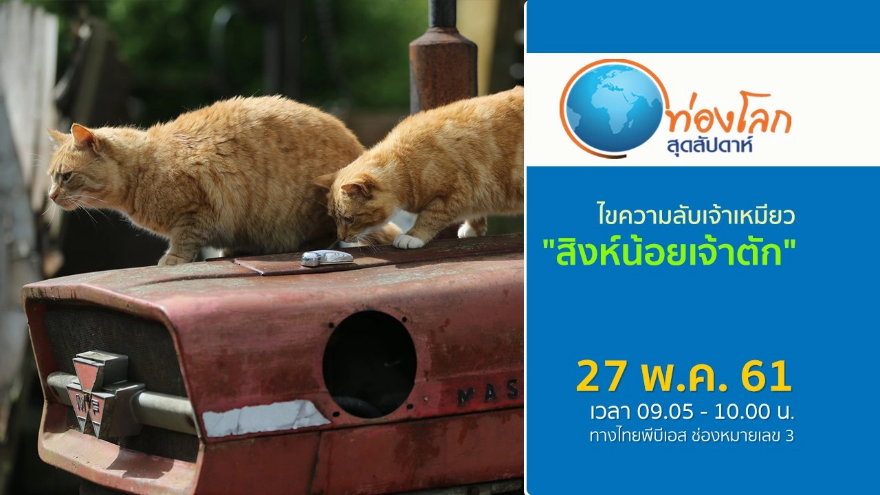 ไขความลับเจ้าเหมียว ตอน สิงห์น้อยเจ้าตัก