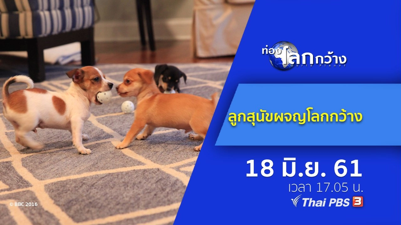 ลูกสุนัขผจญโลกกว้าง