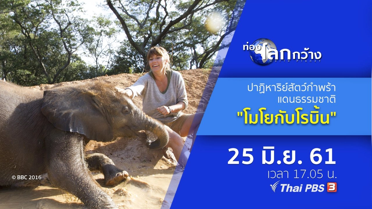 ปาฏิหาริย์สัตว์กำพร้าแดนธรรมชาติ ตอน โมโยกับโรบิ้น