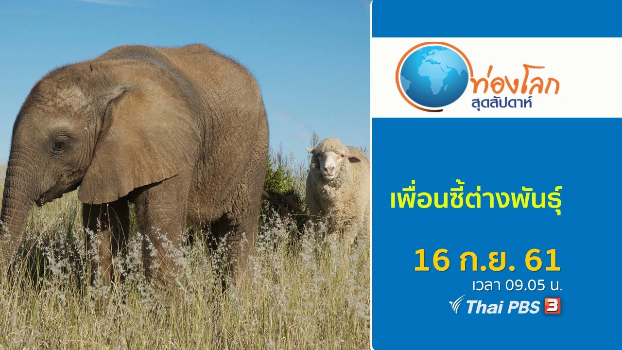 เพื่อนซี้ต่างพันธุ์