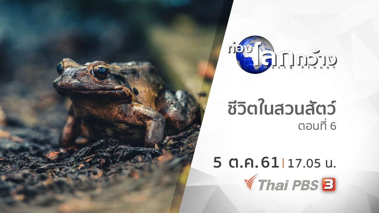 ชีวิตในสวนสัตว์ ตอนที่ 6