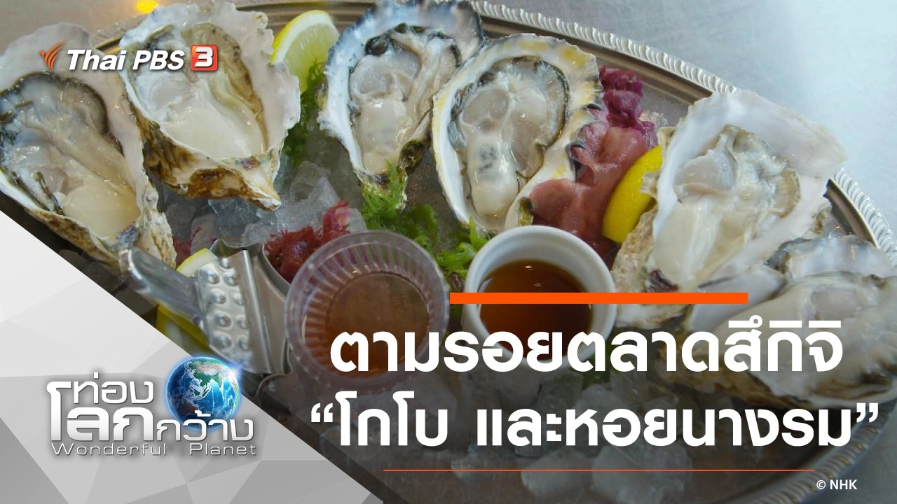 ตามรอยตลาดสึกิจิ ตอน โกโบ และหอยนางรม