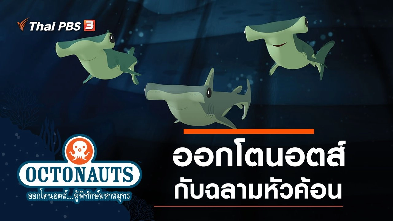ออกโตนอตส์กับฉลามหัวค้อน