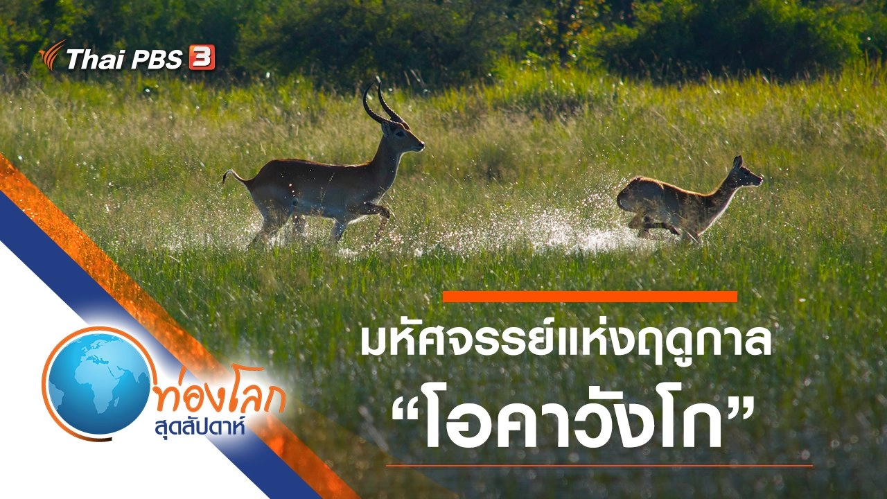 มหัศจรรย์แห่งฤดูกาล ตอน โอคาวังโก