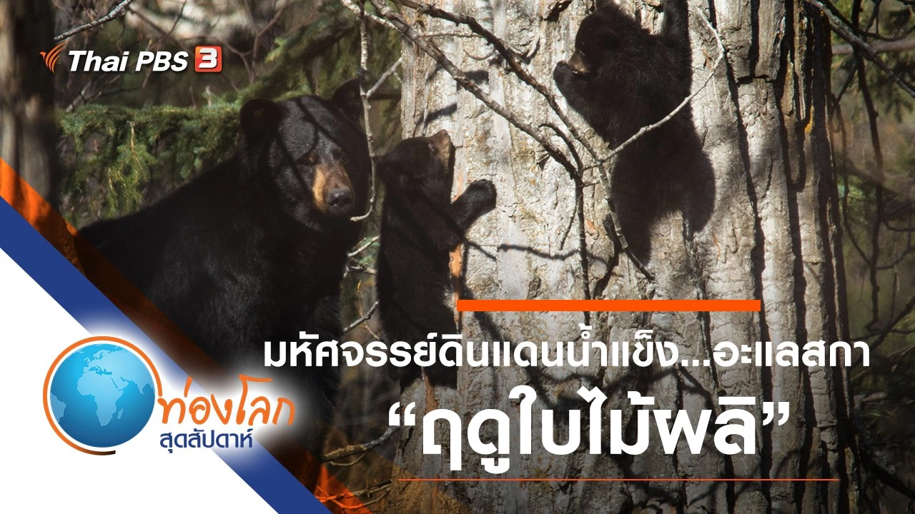 มหัศจรรย์ดินแดนน้ำแข็ง...อะแลสกา ตอน ฤดูใบไม้ผลิ