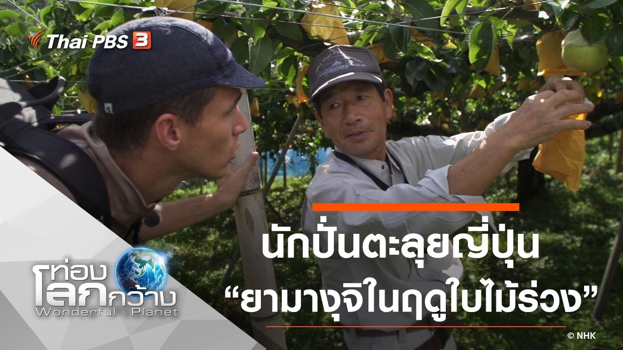 นักปั่นตะลุยญี่ปุ่น ตอน ยามางุจิในฤดูใบไม้ร่วง